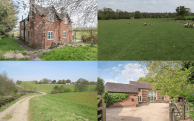 Tonight: Our June Auction