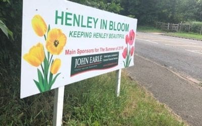 Henley in Bloom 2019