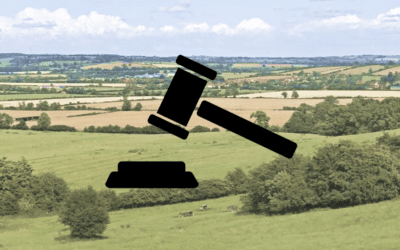 Update: Land and Property Auctions are back!