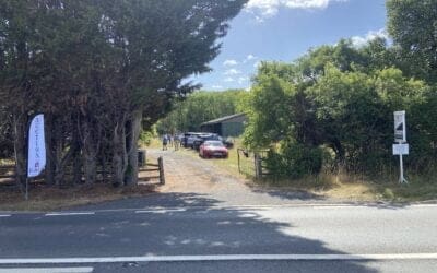 August Auction 2022 – The Results