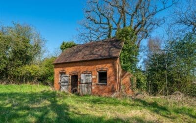 June Auction 2025 – The Results