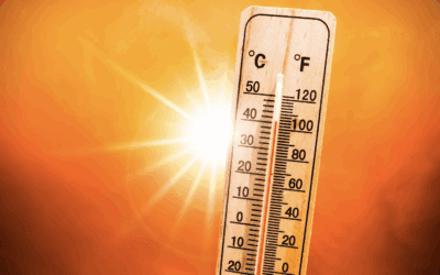 Change To Opening Hours – w/c 22nd June 2026