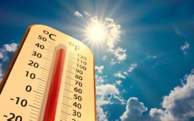 Change To Opening Hours – w/c 7th July 2025