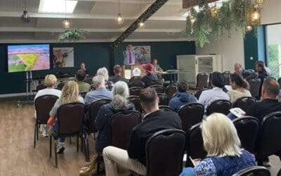 July Auction 2025 – The Results