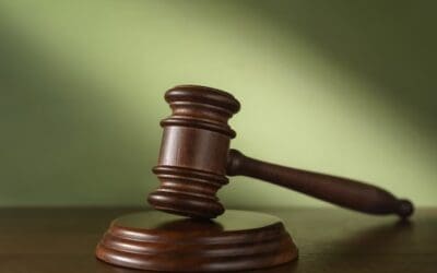 November Auction 2025