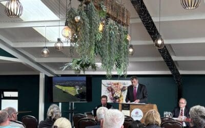 June Auction 2026 – The Results