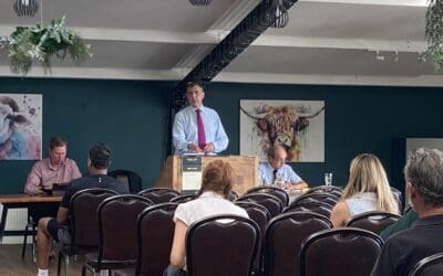 July Auction 2026 – The Results