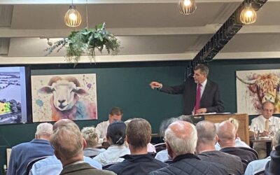 September Auction 2026 – The Results