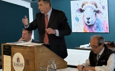 October Auction 2026 – The Results